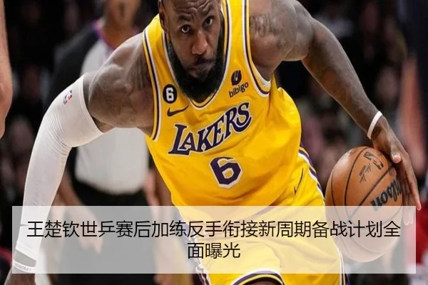 王楚钦世乒赛后加练反手衔接新周期备战计划全面曝光